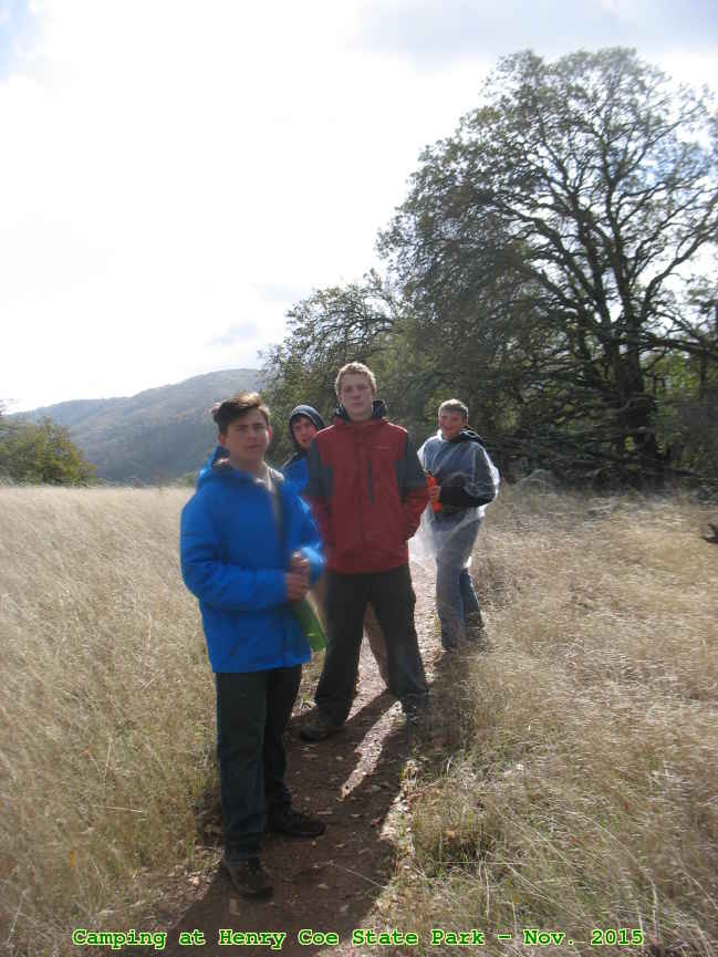 Picture 0031