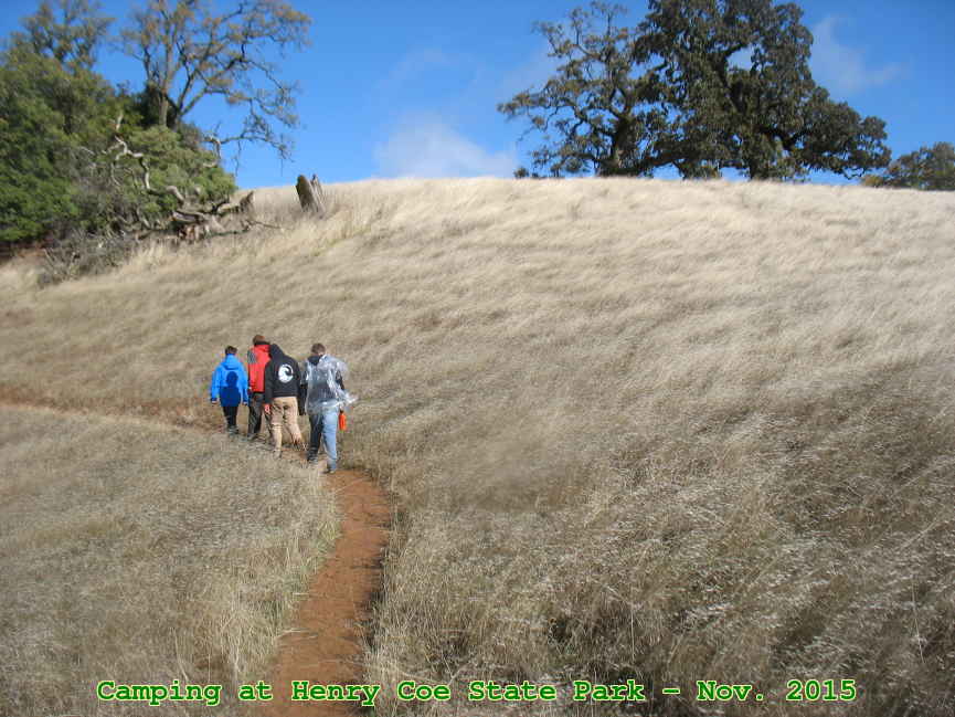 Picture 0032
