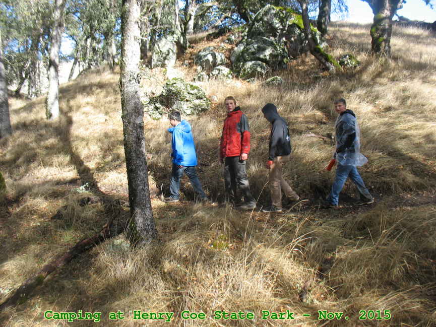 Picture 0033