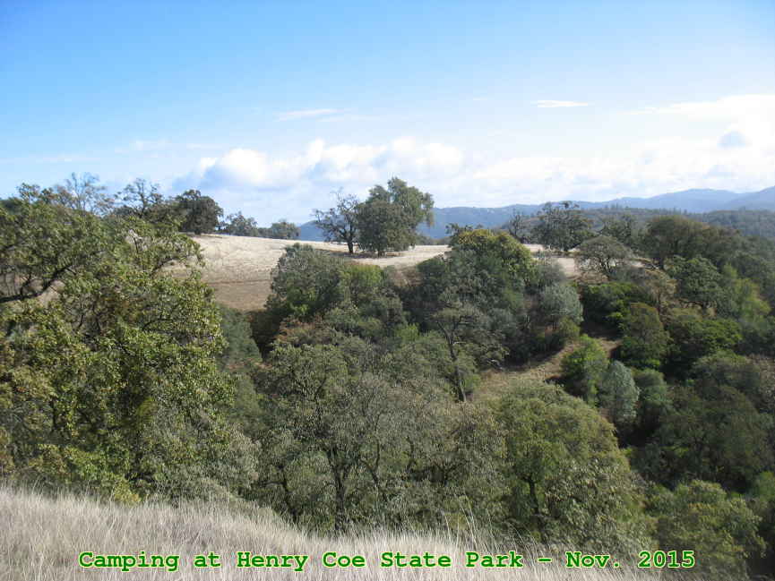 Picture 0034