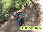 Picture 0005