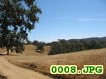 Picture 0008