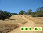 Picture 0009