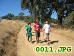 Picture 0011