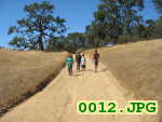Picture 0012