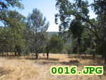 Picture 0016