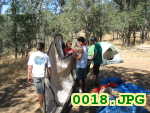 Picture 0018