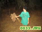 Picture 0033
