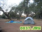 Picture 0037