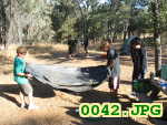 Picture 0042