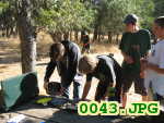 Picture 0043