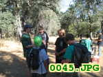 Picture 0045