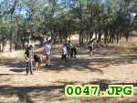 Picture 0047
