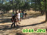 Picture 0048