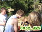 Picture 0052
