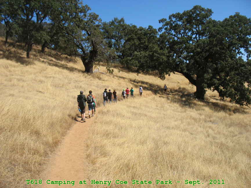 Picture 0004