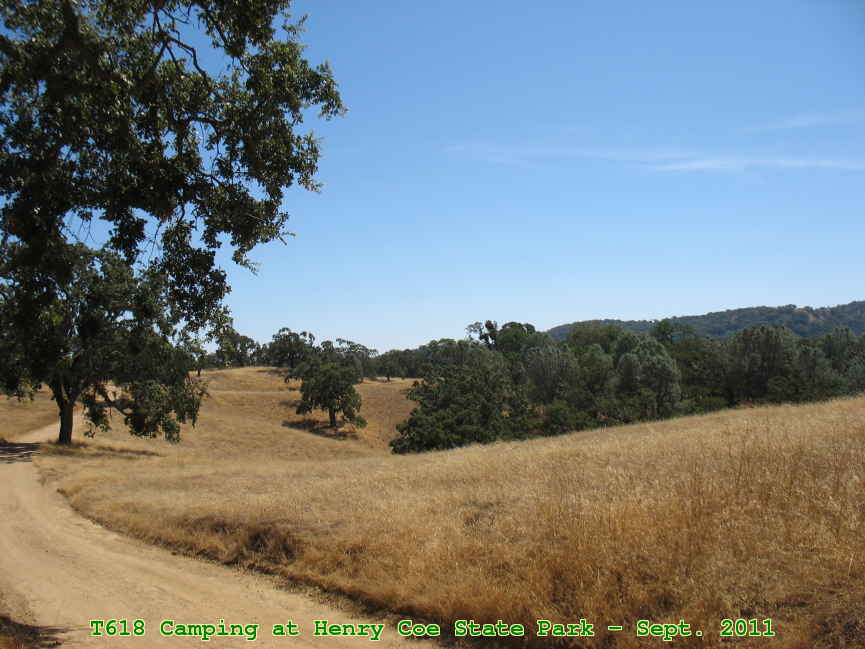 Picture 0008