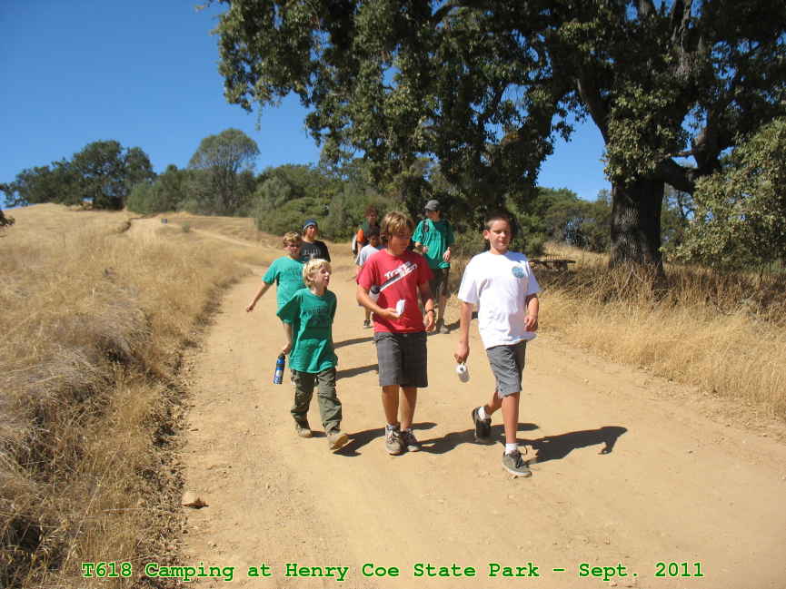 Picture 0011