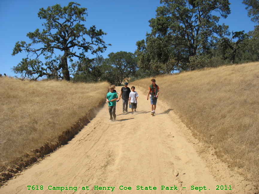 Picture 0012