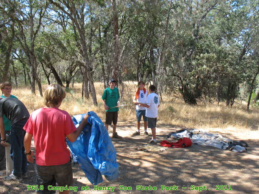 Picture 0013