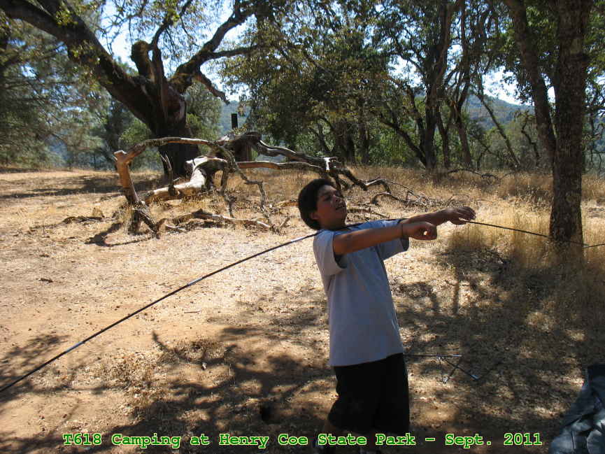 Picture 0014