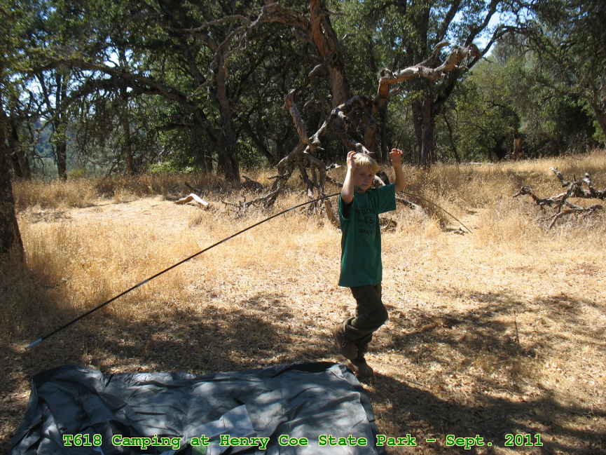 Picture 0015
