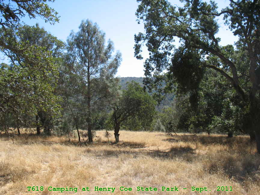Picture 0016