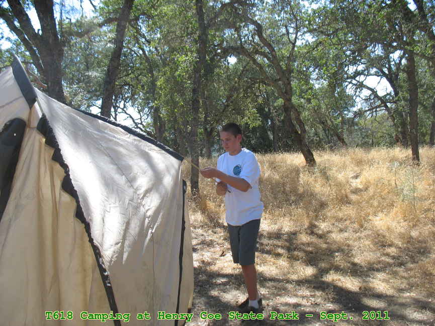 Picture 0019