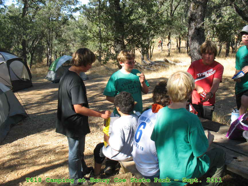 Picture 0021