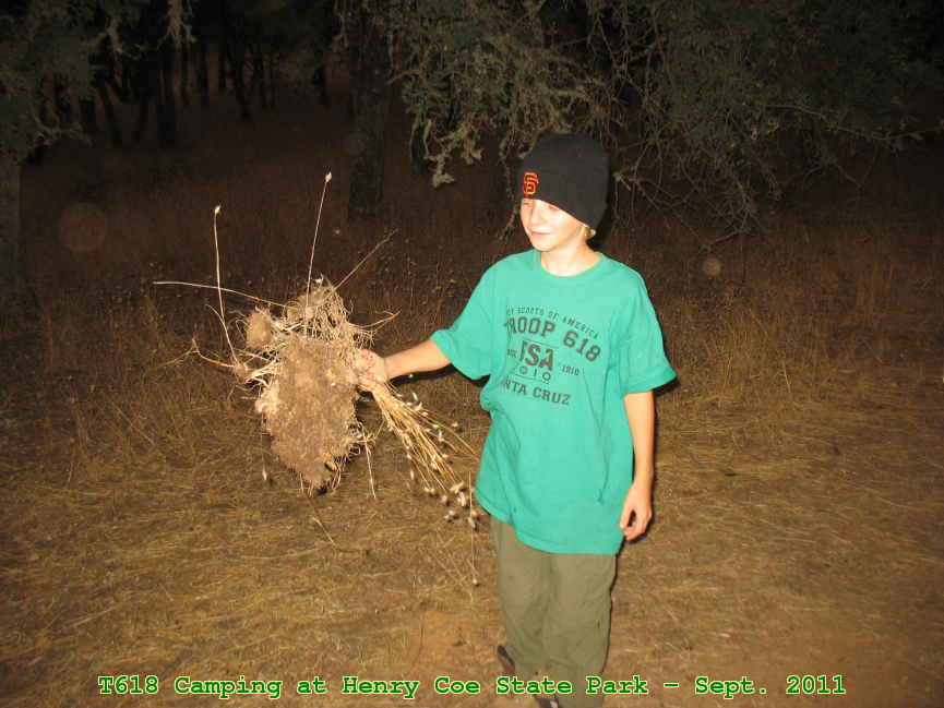 Picture 0033