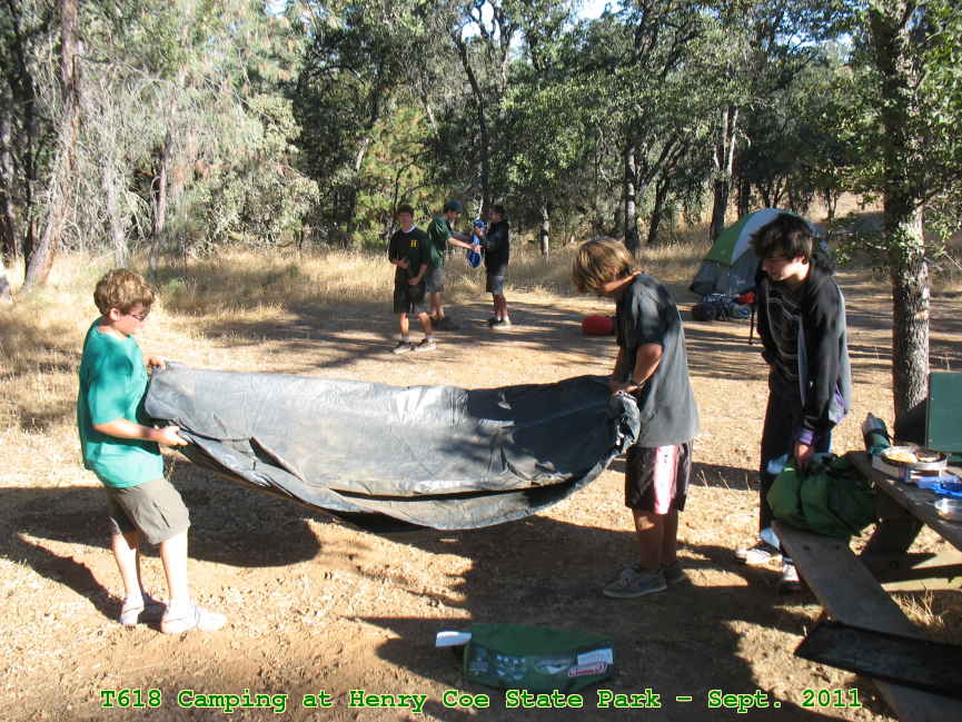Picture 0042