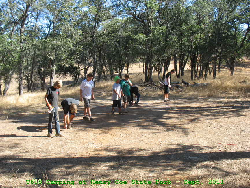 Picture 0047