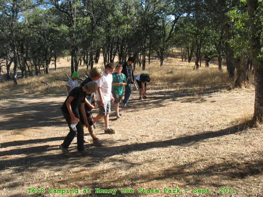 Picture 0048