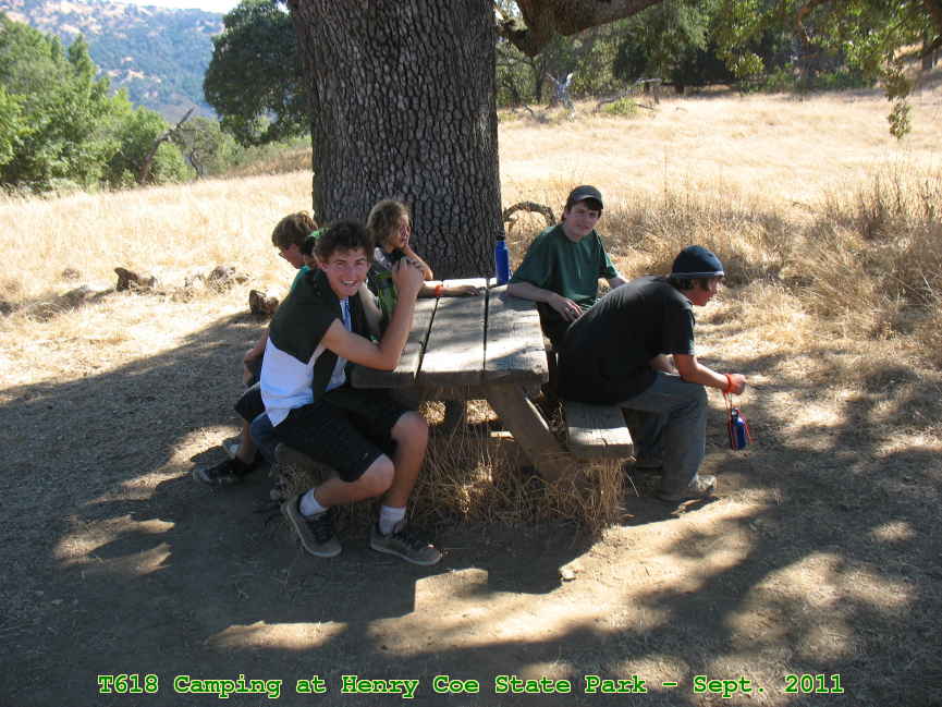 Picture 0049