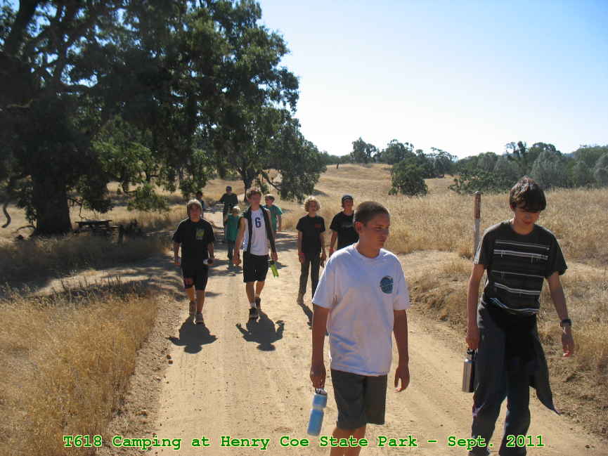 Picture 0050