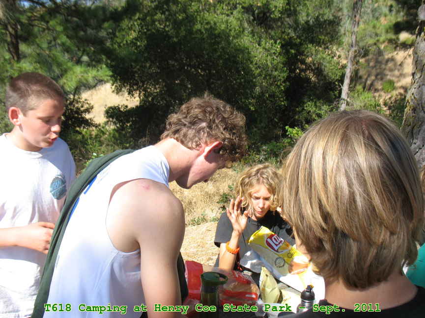 Picture 0052