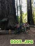Picture 0005