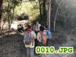 Picture 0010