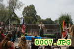 Picture 0007