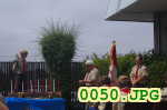 Picture 0050