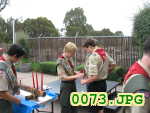 Picture 0073