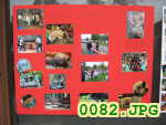 Picture 0082
