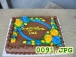 Picture 0091