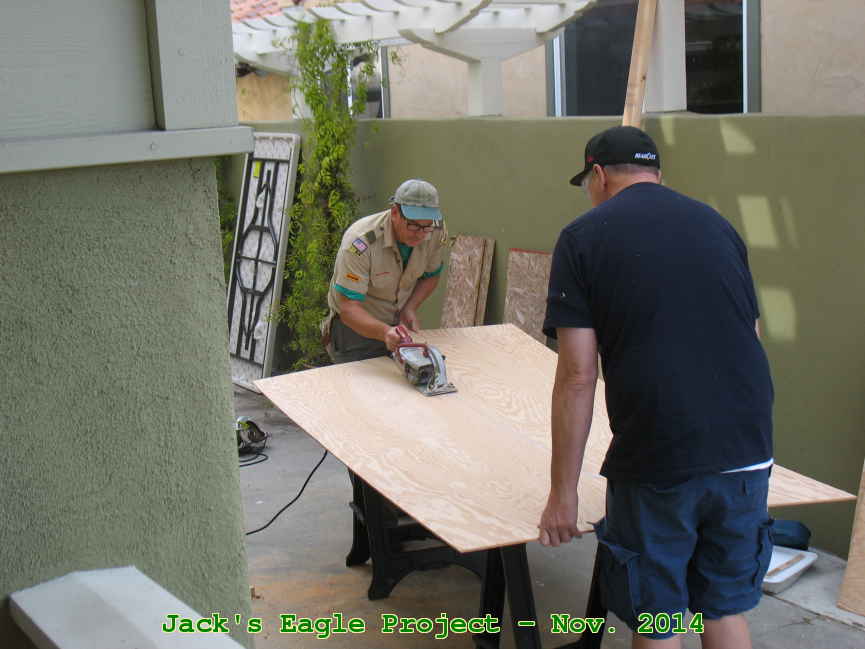 Picture 0008