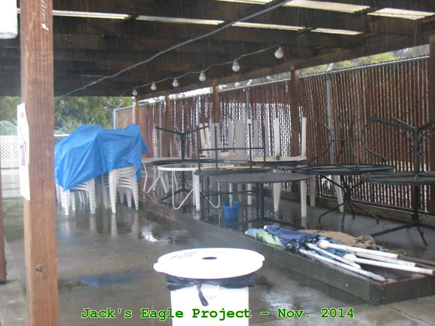 Picture 0013