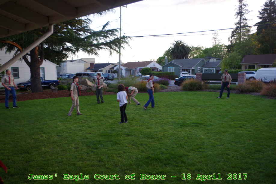 Picture 0001