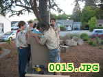 Picture 0015