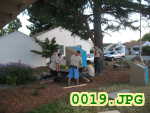 Picture 0019