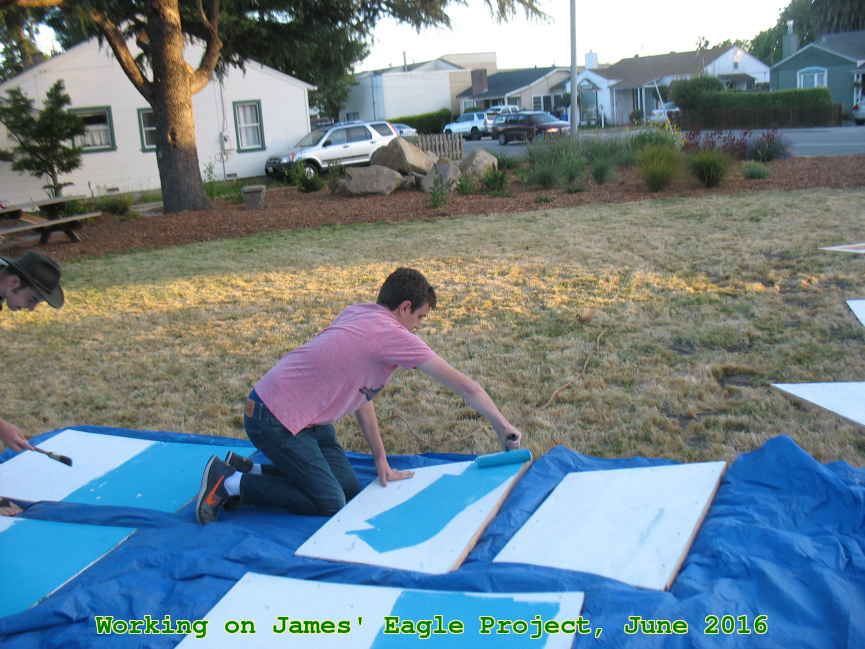 Picture 0001