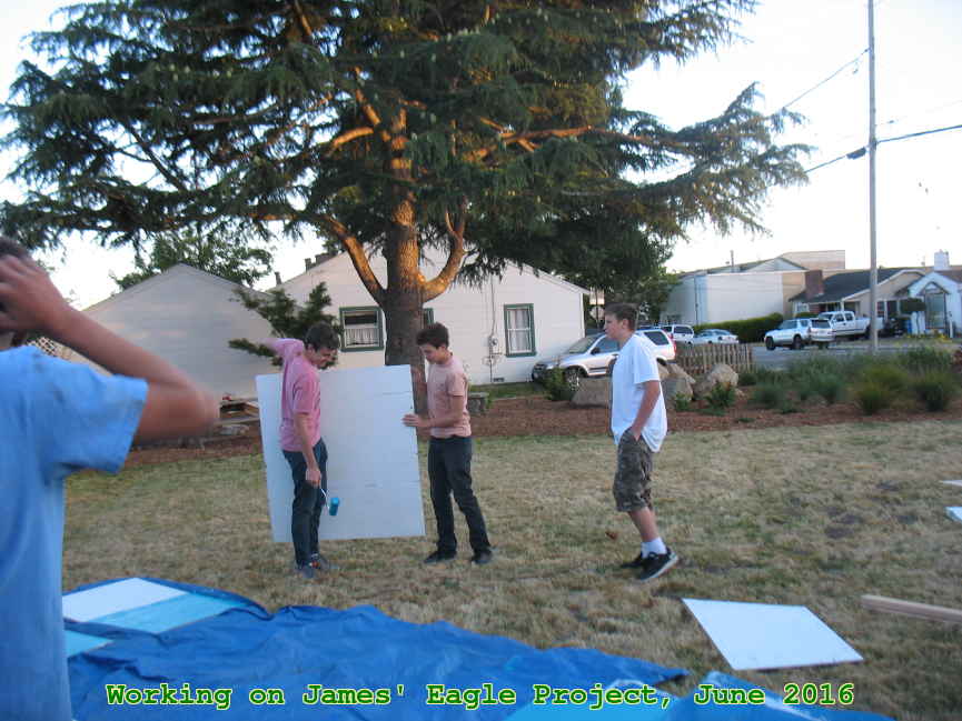 Picture 0004